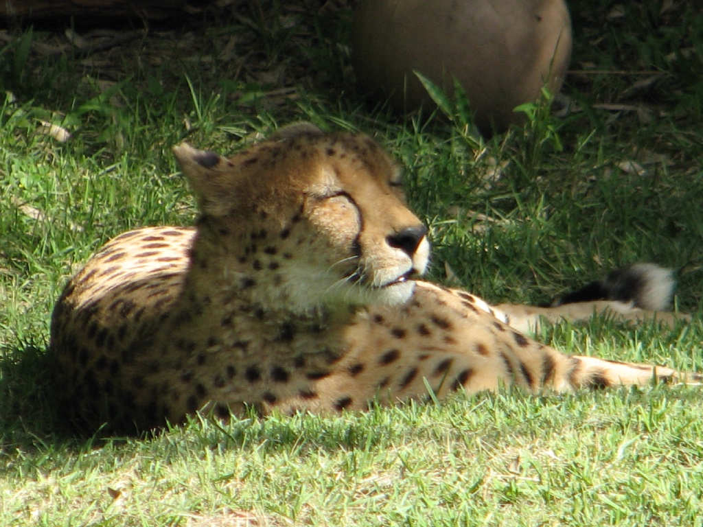 20100206 486.JPG